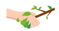 A hand is holding a tree branch with leaves on it.