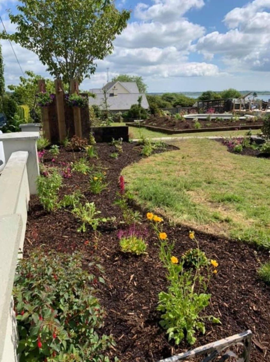 A garden with a lot of plants and flowers in it