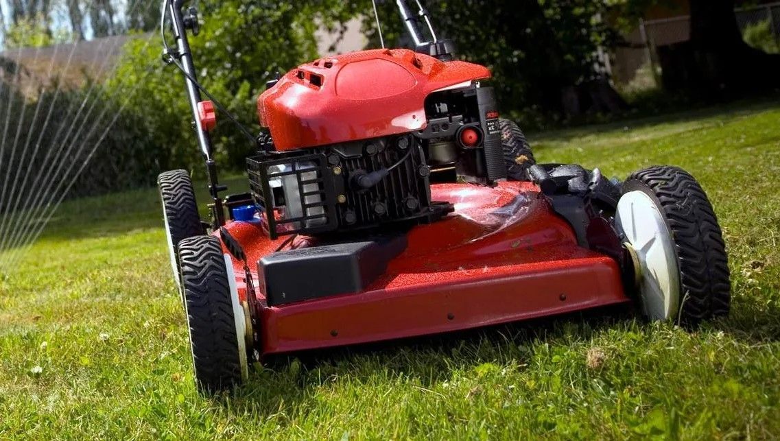 A Red Lawn Mower is Sitting on Top of a Lush Green Lawn — Jacksons Mower Centre in Mackay, QLD