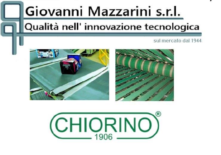 Logo per la Giovanni Mazzarini srl, contenente campioni di prodotti e il marchio Chiorino.