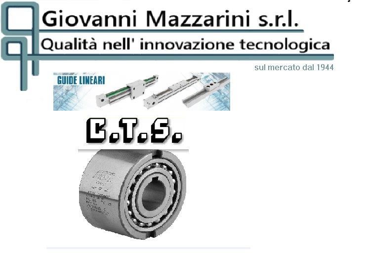 Logo per Giovanni Mazzarini srl, comprendente una guida lineare e un cuscinetto etichettato BTS