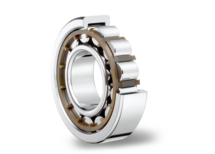 Vista in sezione di un cuscinetto a rulli cilindrici, che mostra i rulli, gli anelli interno ed esterno e la gabbia.