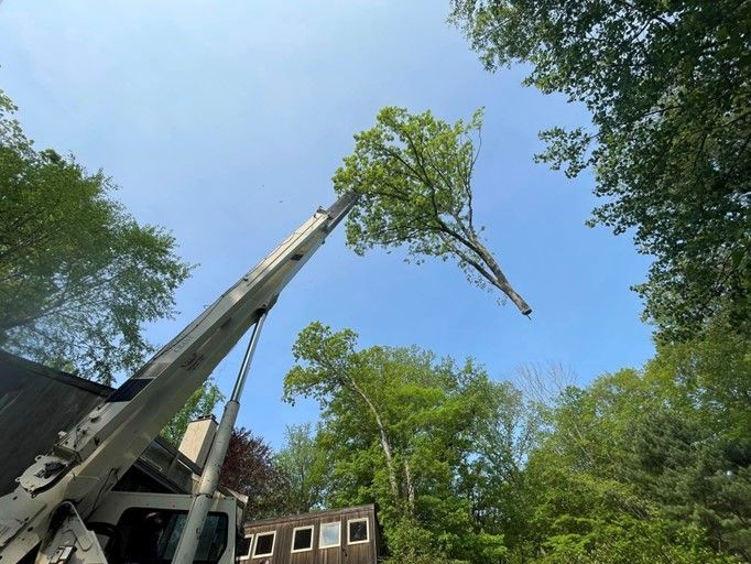 A tree is being removed by a crane in front of a house