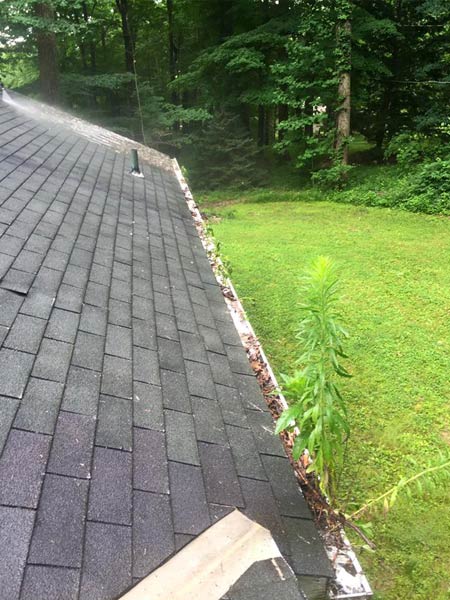 Gutter full of leaves — Power Washing Services in New Galilee, PA