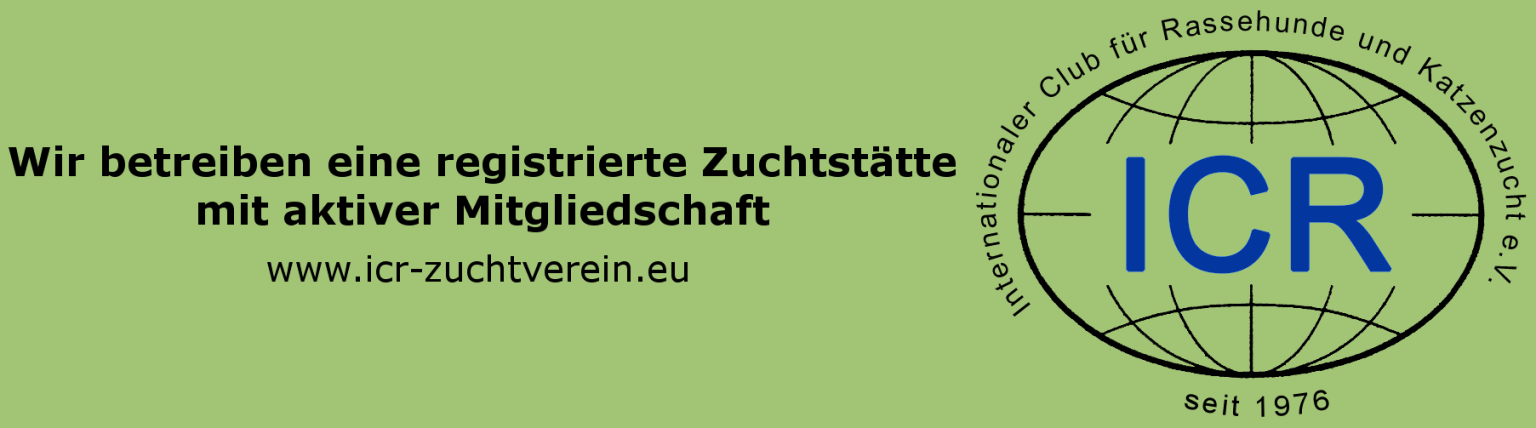 Ein Logo für ICR wird auf grünem Hintergrund angezeigt.