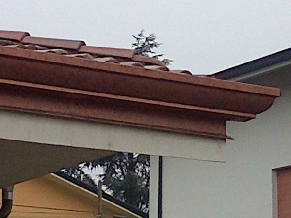 particoalare di una grondaia e tetto