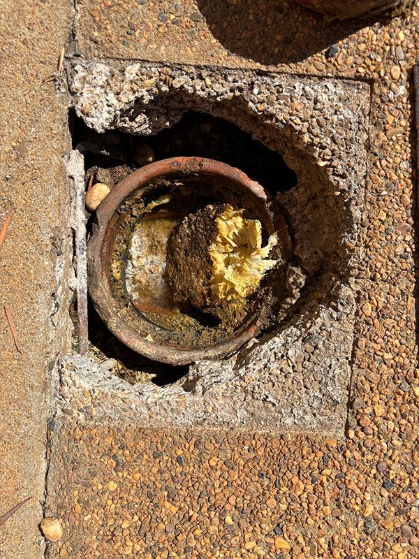 A Close Up Of A Drain On A Sidewalk With A Bowl Of Food In It — BJB Plumbing & Gasfitting in Dubbo, NSW