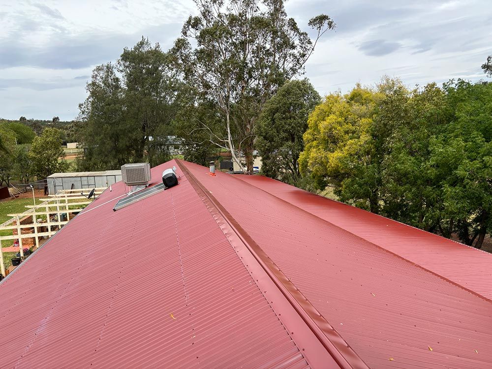 A Red Roof with Trees in The Background — BJB Plumbing & Gasfitting in Dubbo, NSW