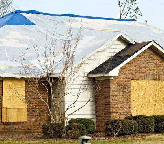 Loss-Mitigation-and-Detailed-Reporting