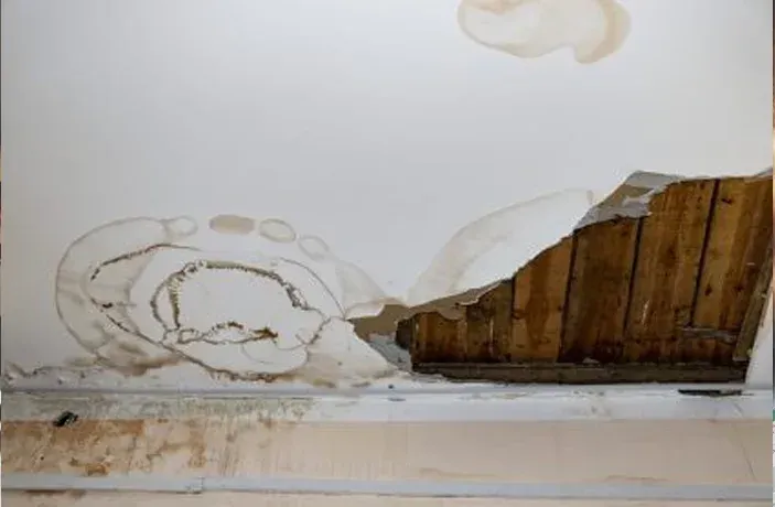 A damaged white wall with water stains and a large section of plaster broken away, revealing the wooden slats behind it.