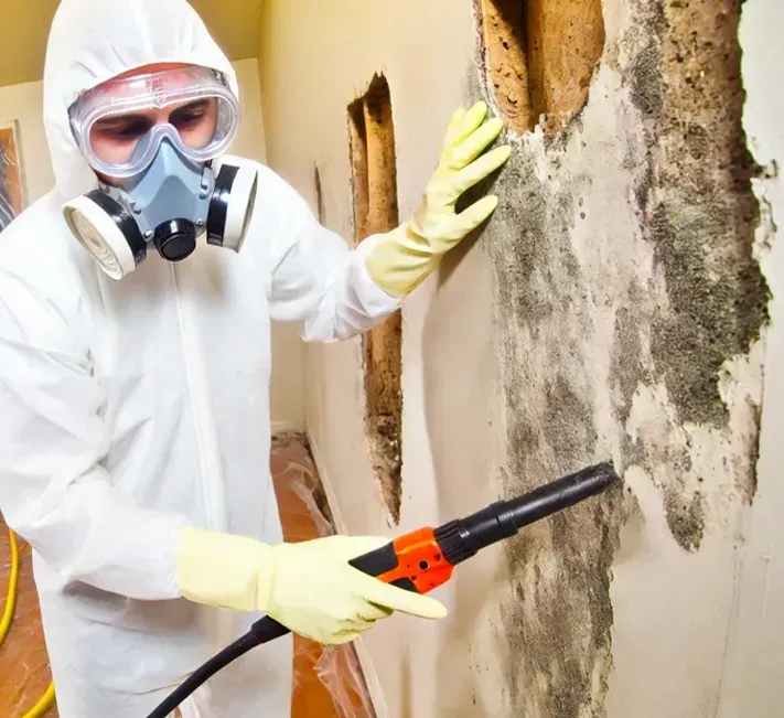 mitigation-services-merrillville