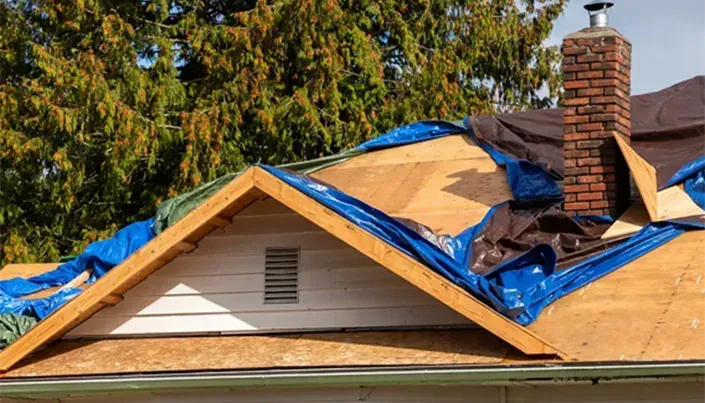 residential-mitigation-services-hammond