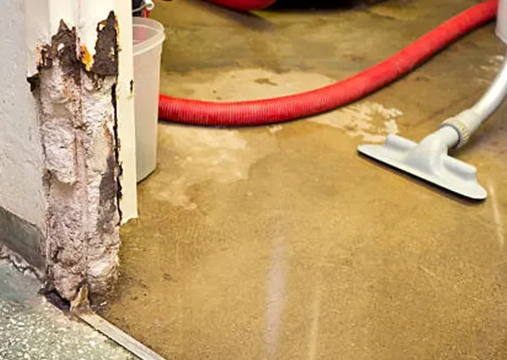 the-escalating-risk-of-delayed-water-damage-mitigation-valparaiso