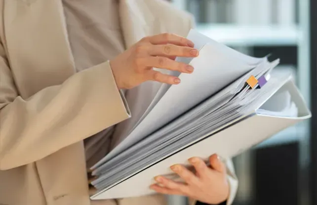 understanding-professional-documentation-standards