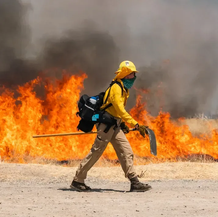 what-are-mitigation-services-valparaiso