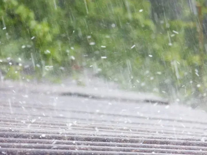 Heavy rain falling on a corrugated metal roof with blurred green foliage in the background.