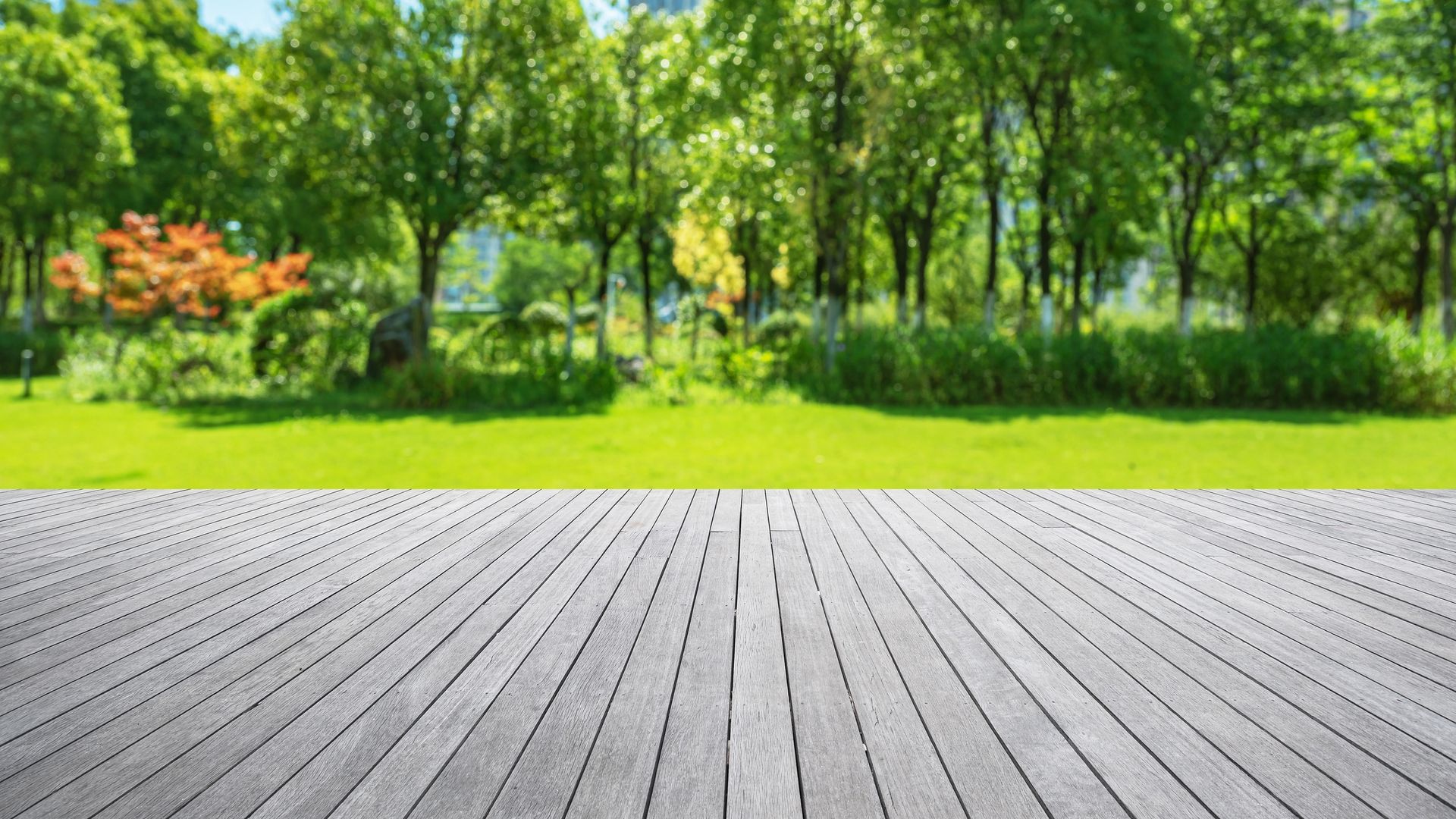 Wooden deck overlooking a green lawn and trees in a park setting.