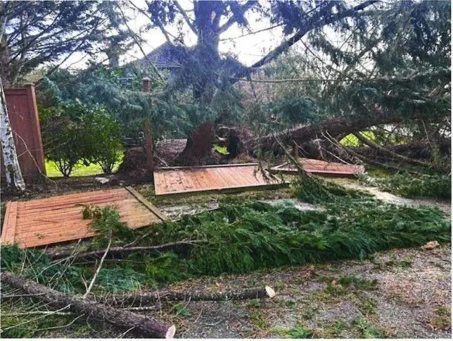Fallen tree trunk and branches on the ground, damaging a wooden fence. Outdoor setting.