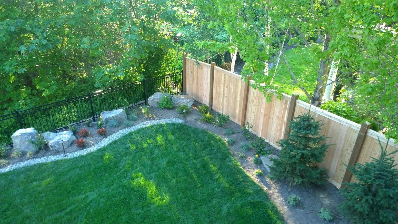 Green backyard with grass, curved rock border, wooden fence, and trees.