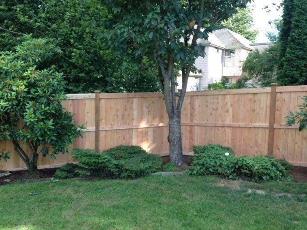 Wooden fence in a backyard with a tree, bushes, and green grass.