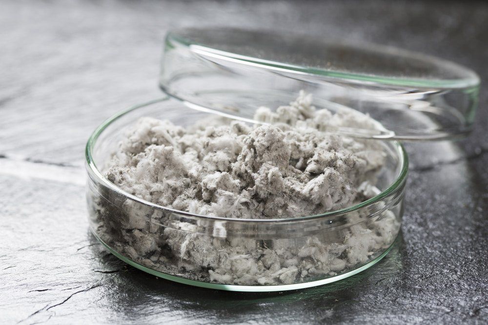 Asbestos for Testing — Asbestos Removal in Currajong, QLD