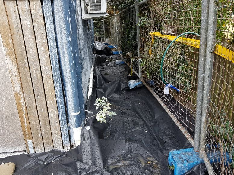 Asbestos Decontamination — Asbestos Removal in Currajong, QLD