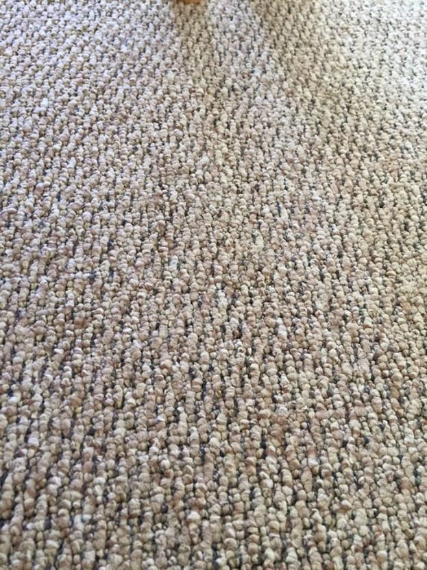 A Close Up of a Carpet With a Pattern on It — Abbsolve Services in Yandina, QLD