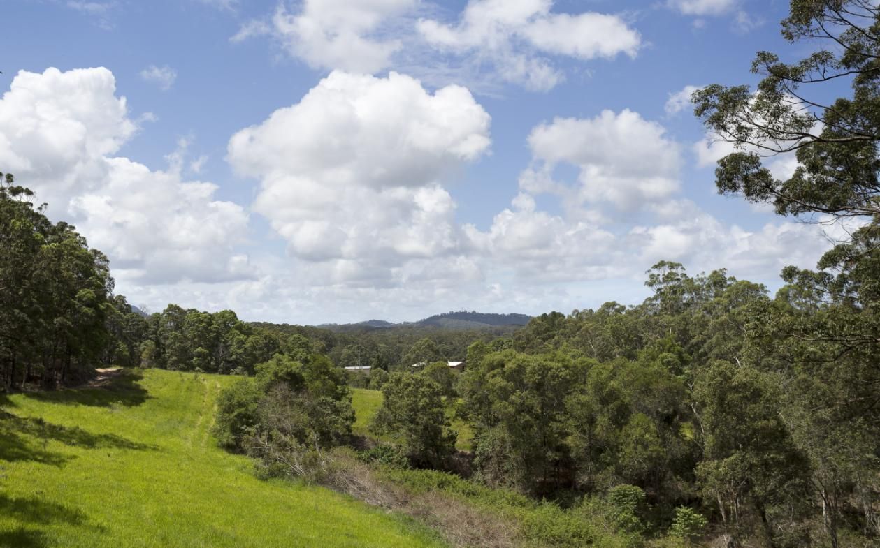 A Lush Green Field With  Trees and Clouds in the Sky — Abbsolve Services in Yandina, QLD