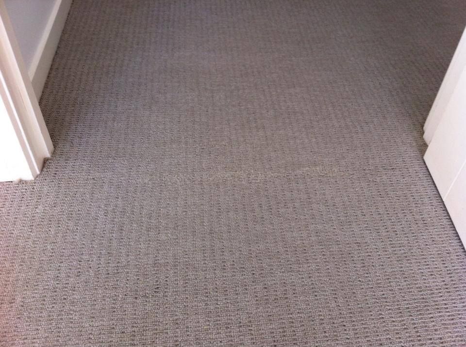Before and After Stain Removal on Carpet — Abbsolve Services in Cooroy, QLD