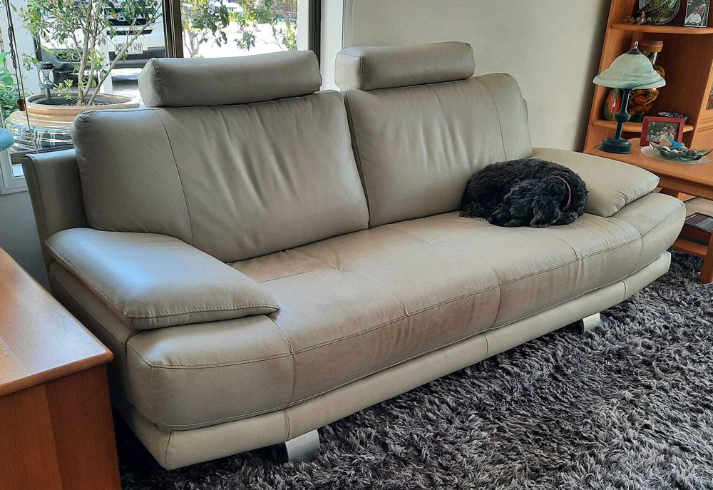 Clean Rug Next to Couch