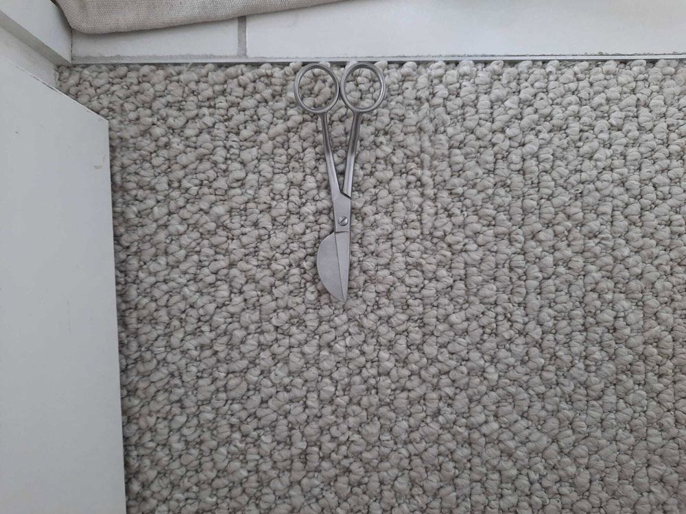Scissors on Top of A Rug
