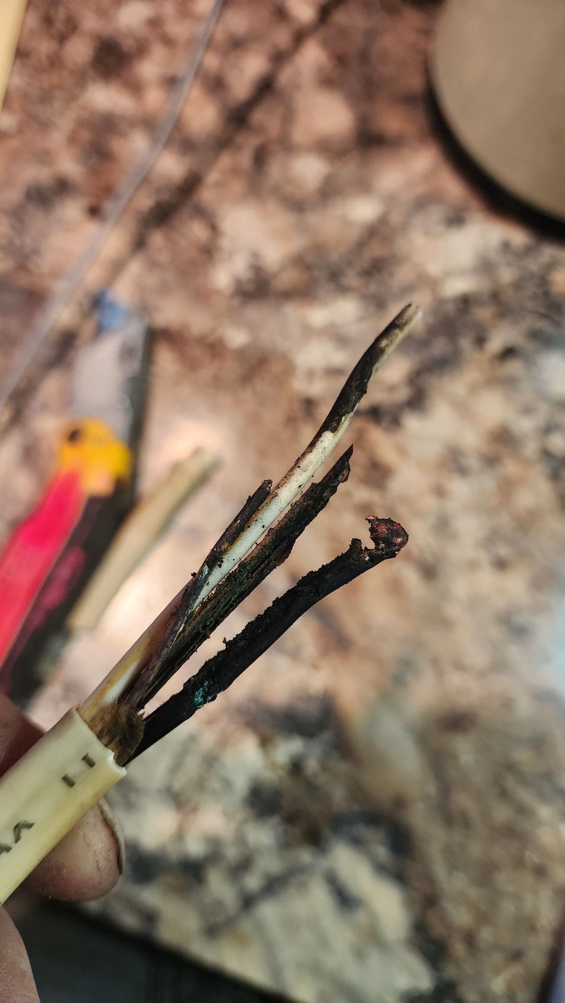 Damaged electrical cable with charred insulation; wires exposed.