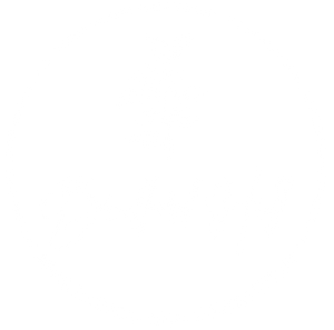 Bradford Hill Logo