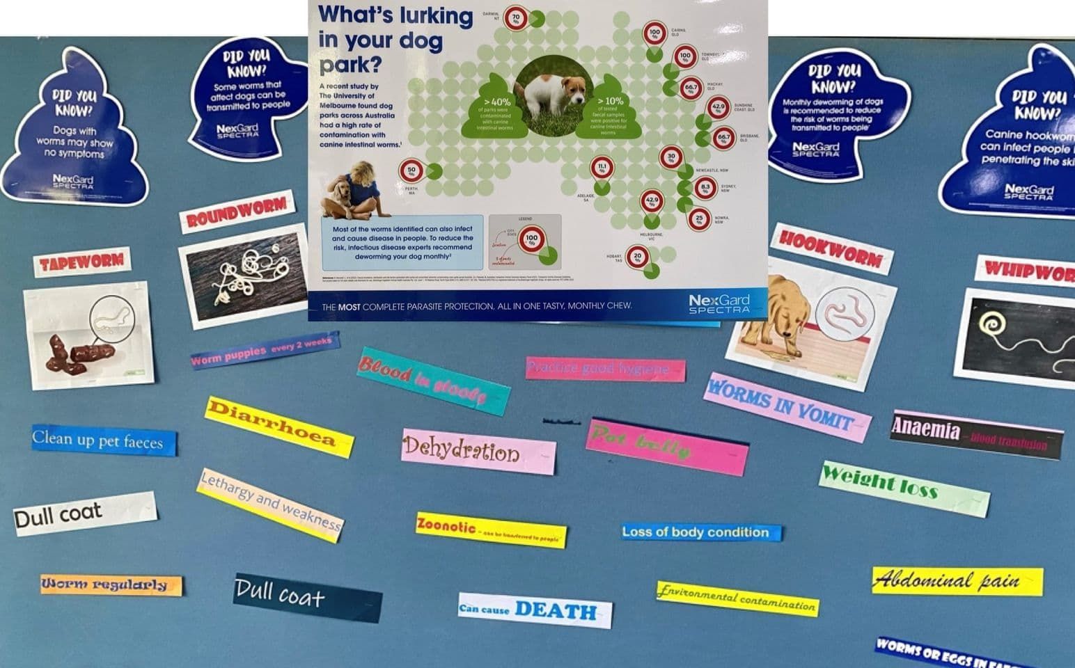 Bulletin Board With Dog Park Health — Marlin Coast Veterinary Hospital in Trinity Beach, QLD