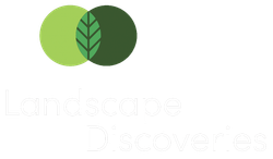 Landscape Discoveries