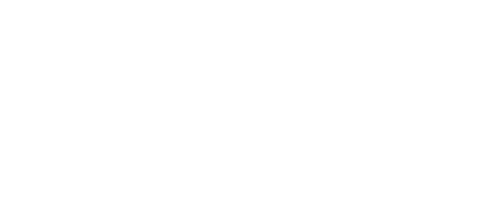 20/20 Walker Consulting