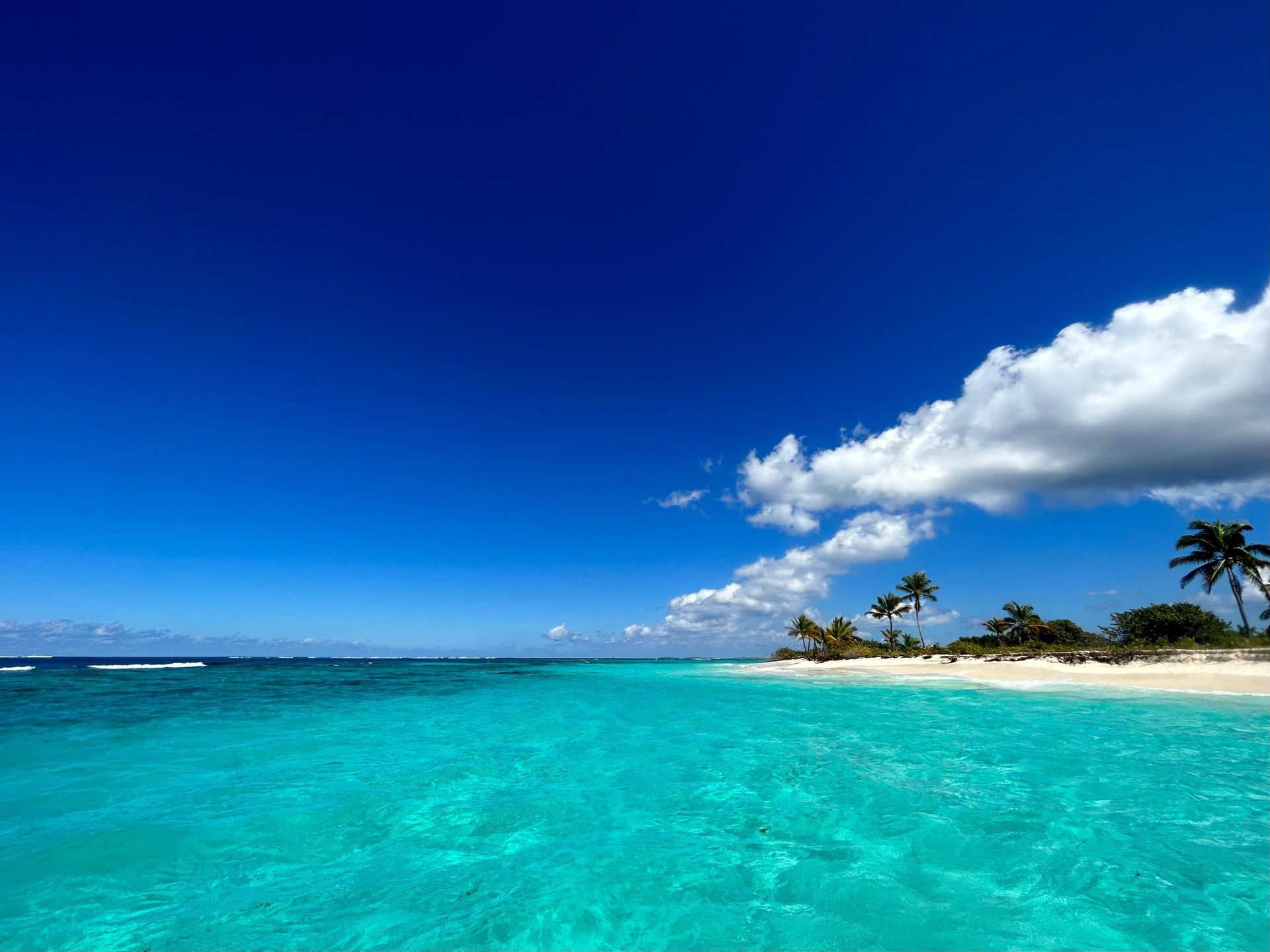 Bright blue ocean and sky meet a white sand beach with palm trees.