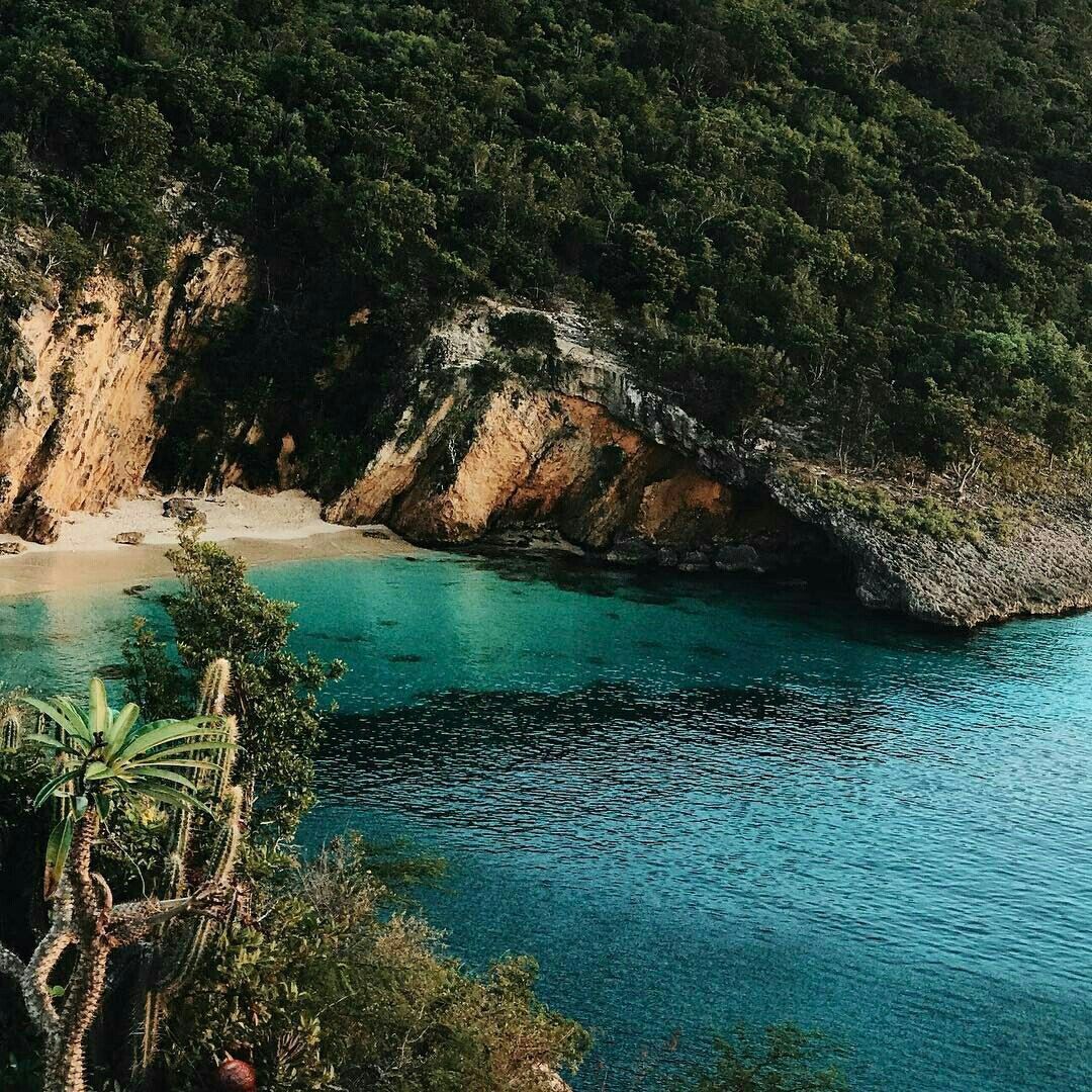 Ocean cove with turquoise water, sandy beach, and lush green foliage.
