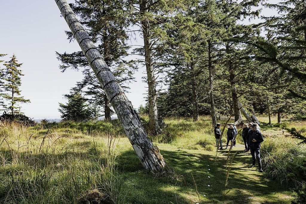 Hikers walking through a grassy forest with birch trees in bright sunlight