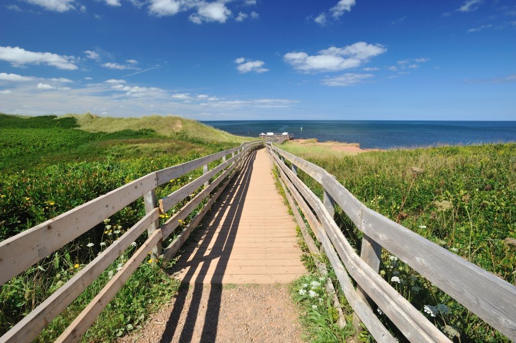 Grassy coastal hill under a partly cloudy blue sky, with ocean and distant landforms.