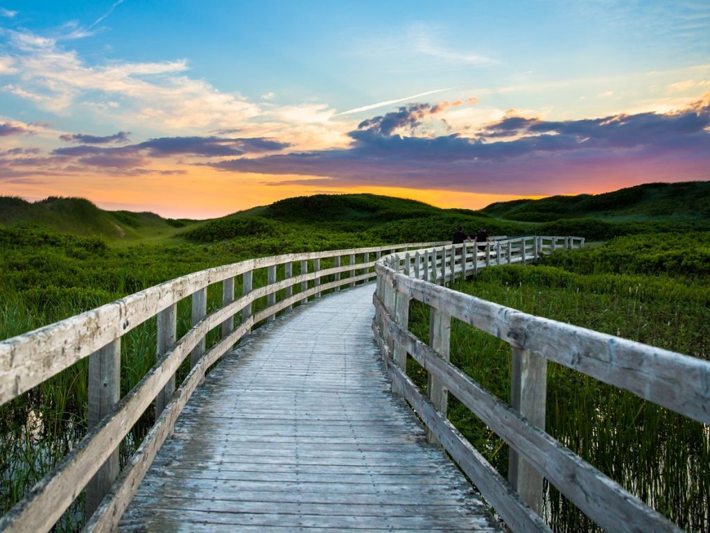 Wooden boardwalk path through a green forest, leading towards a bright opening.