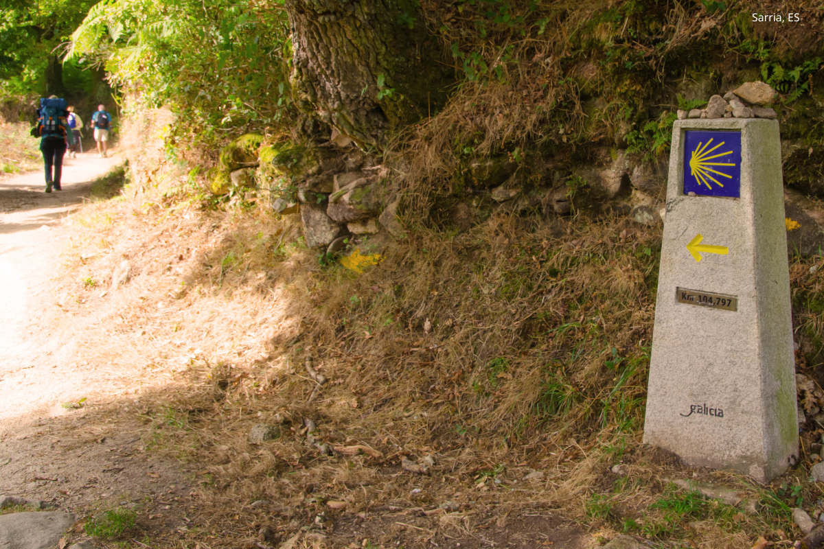 Camino trail marker on a dirt path in a wooded area, with hikers in the distance.