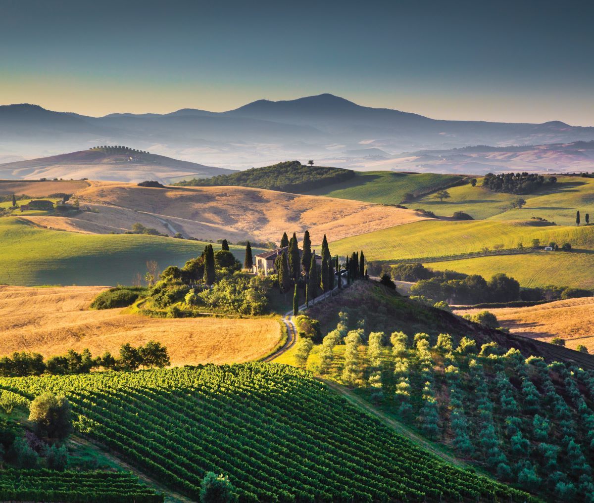 Rolling Tuscan hills with vineyards, a farmhouse, and distant mountains under a blue sky.