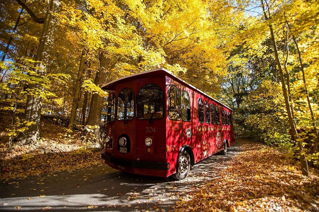 Red trolley on a leaf-covered road, surrounded by autumn trees with yellow leaves.