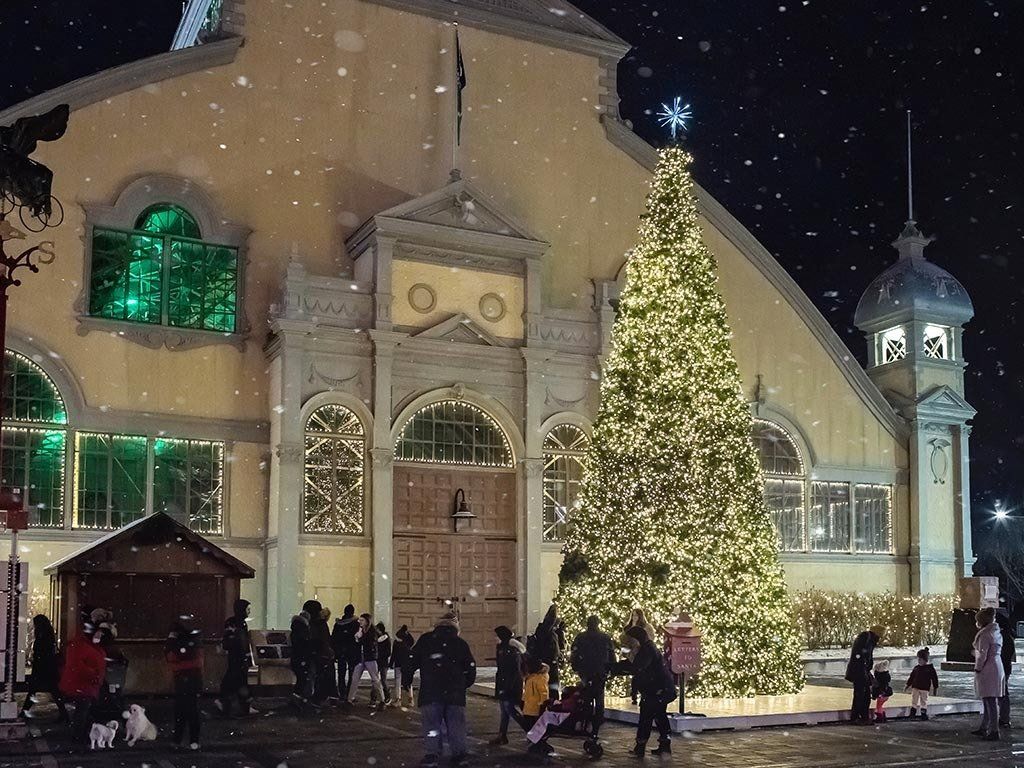 Lansdown Christmas Lights Ottawa Ontario