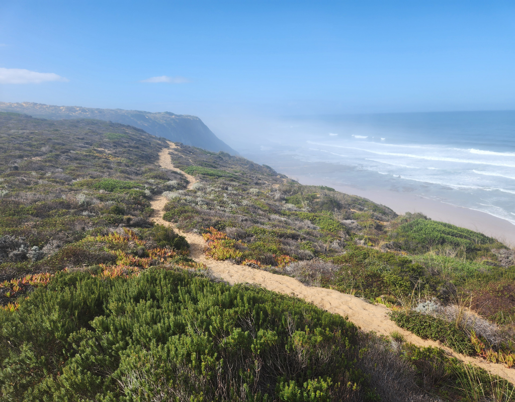 Sandy path winds along a cliff overlooking the ocean on a sunny day. Green and brown vegetation.