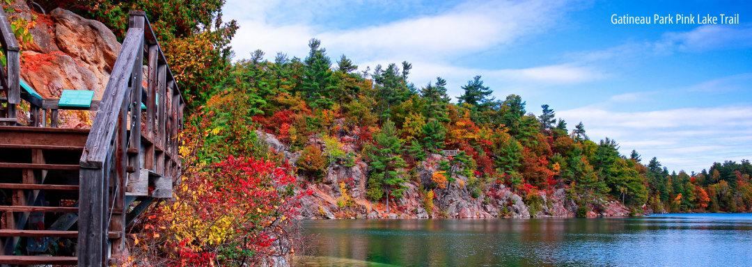 Curved wooden stairs beside a colorful autumn riverbank with calm water and blue sky