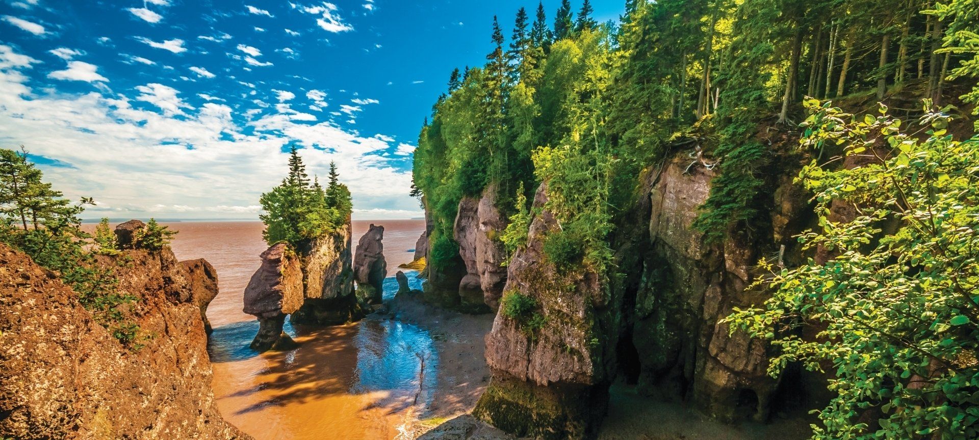 Coastal scene of high cliffs covered with green trees; rocky shore; blue sky.