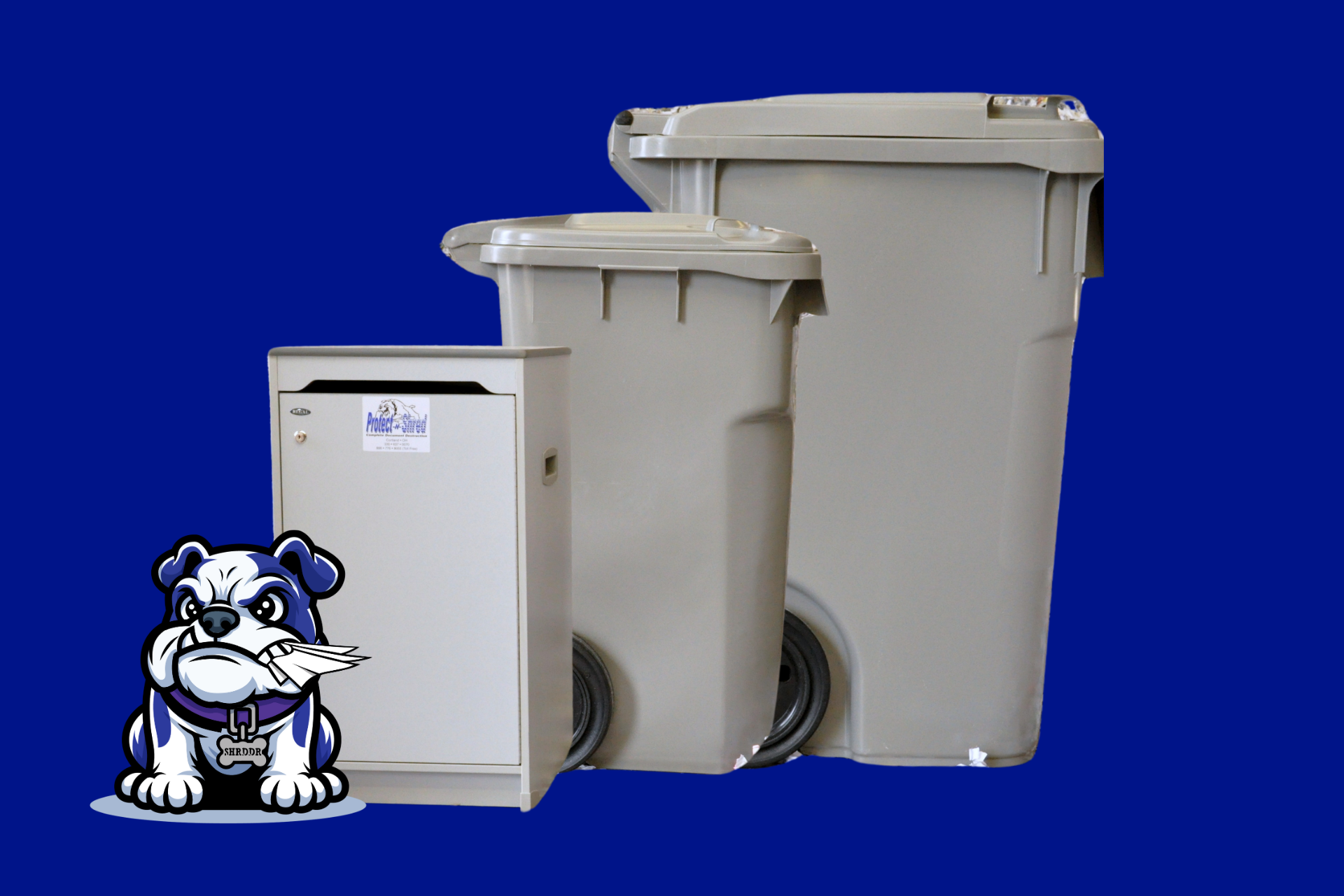 Bulldog mascot next to a mailbox and two trash cans, all beige, against a blue background.