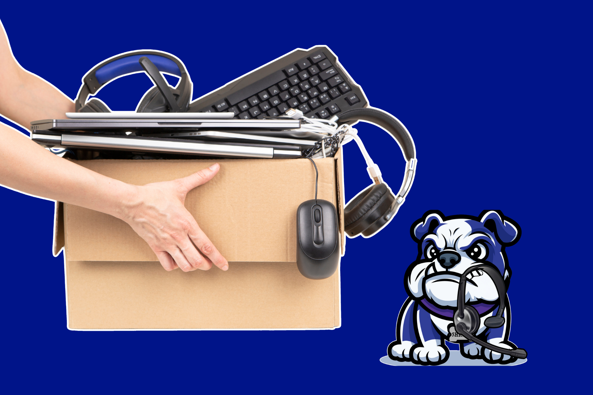 Person holding a box of electronics next to a bulldog mascot. Blue background.